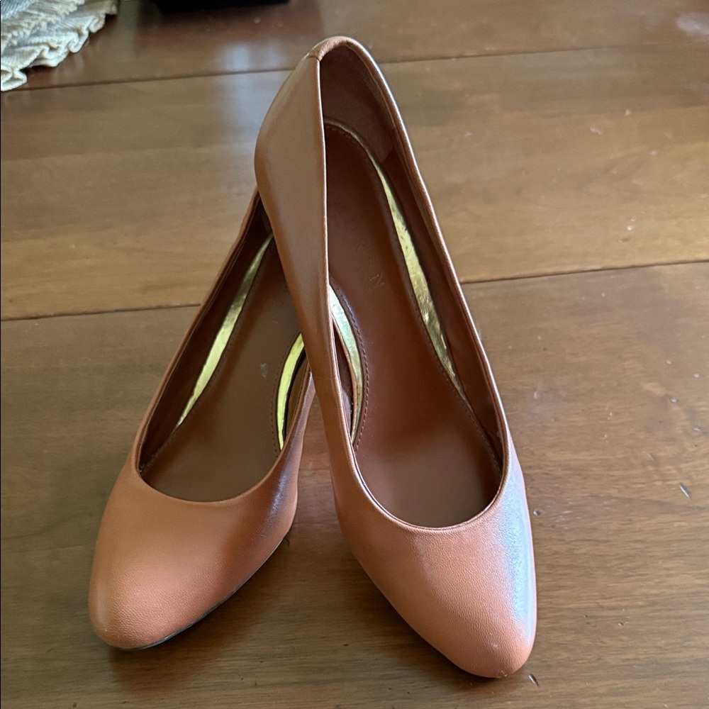 Classic Women's Brown Pointed-Toe Pumps